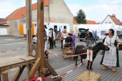 ausstellung014