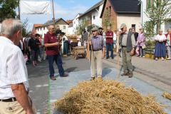 ausstellung041