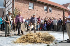 ausstellung043