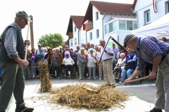 ausstellung050