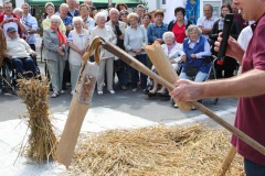 ausstellung053