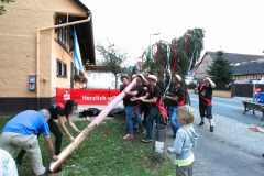Verschiedene06