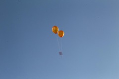 Verschiedene24