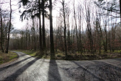 01_baumfaellen-04