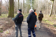 01_baumfaellen-05