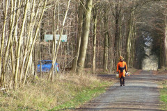 01_baumfaellen-08