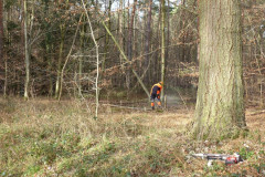 01_baumfaellen-10