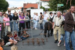 kerb09_22